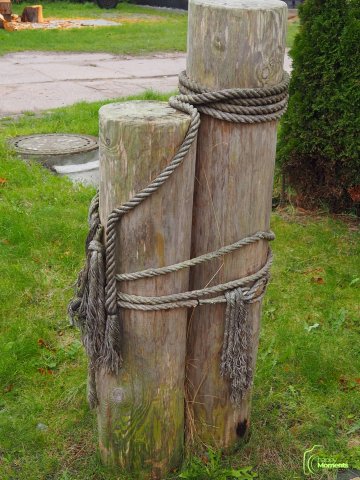 Zingst