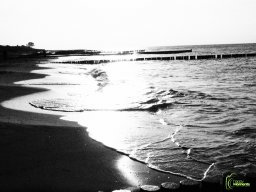 Zingst