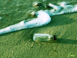 Zingst