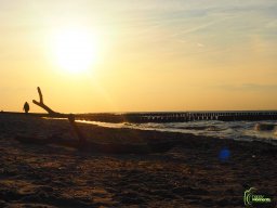 Zingst