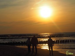 Zingst