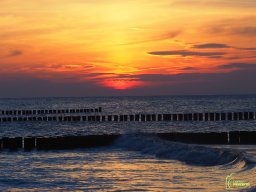 Zingst