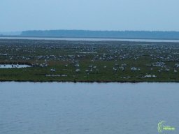 Zingst